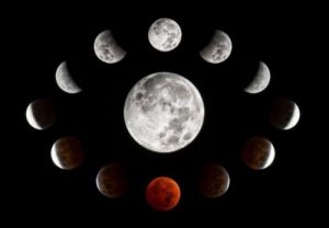 Лунный календарь операций на июнь 2020 года самые благоприятные дни